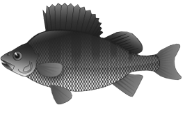 Perch